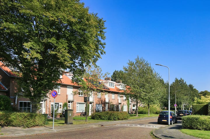 Foto 36 van Plesmanlaan 95