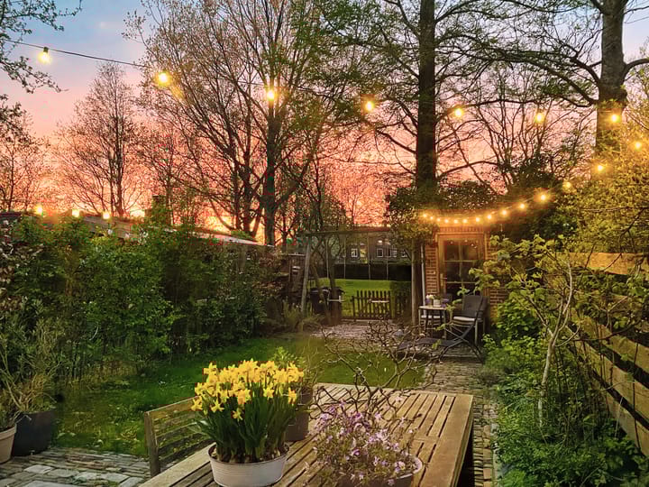 Foto 35 van Plesmanlaan 95