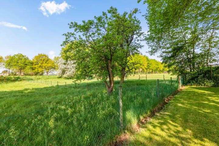 Foto 35 van Benterdijk 1