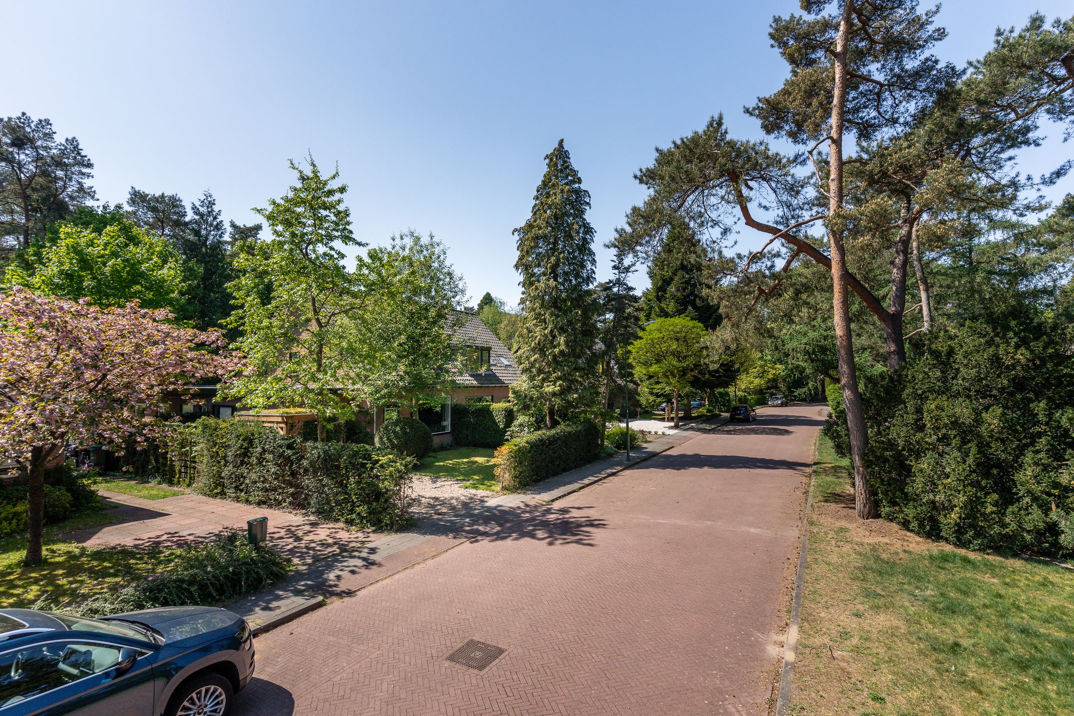 Foto 3 van Ockeghemlaan 14