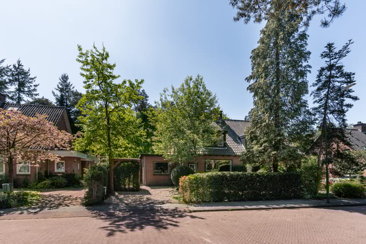 Foto 4 van Ockeghemlaan 14