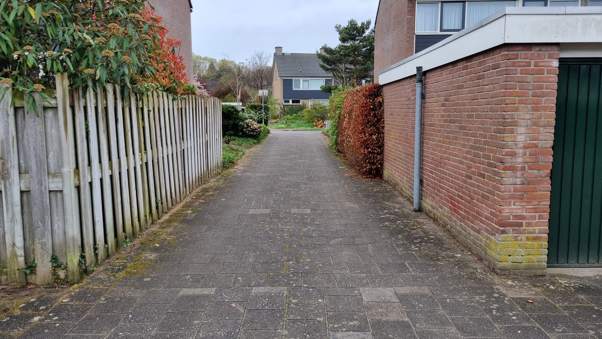 Photo 6 of Eduard van Beinumlaan 508