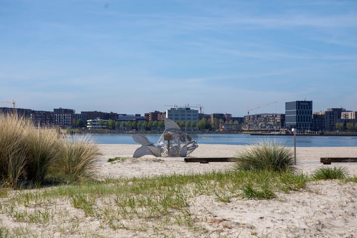 Foto 44 van IJburglaan 897