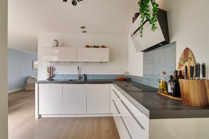 Foto 16 van Biezengors 64