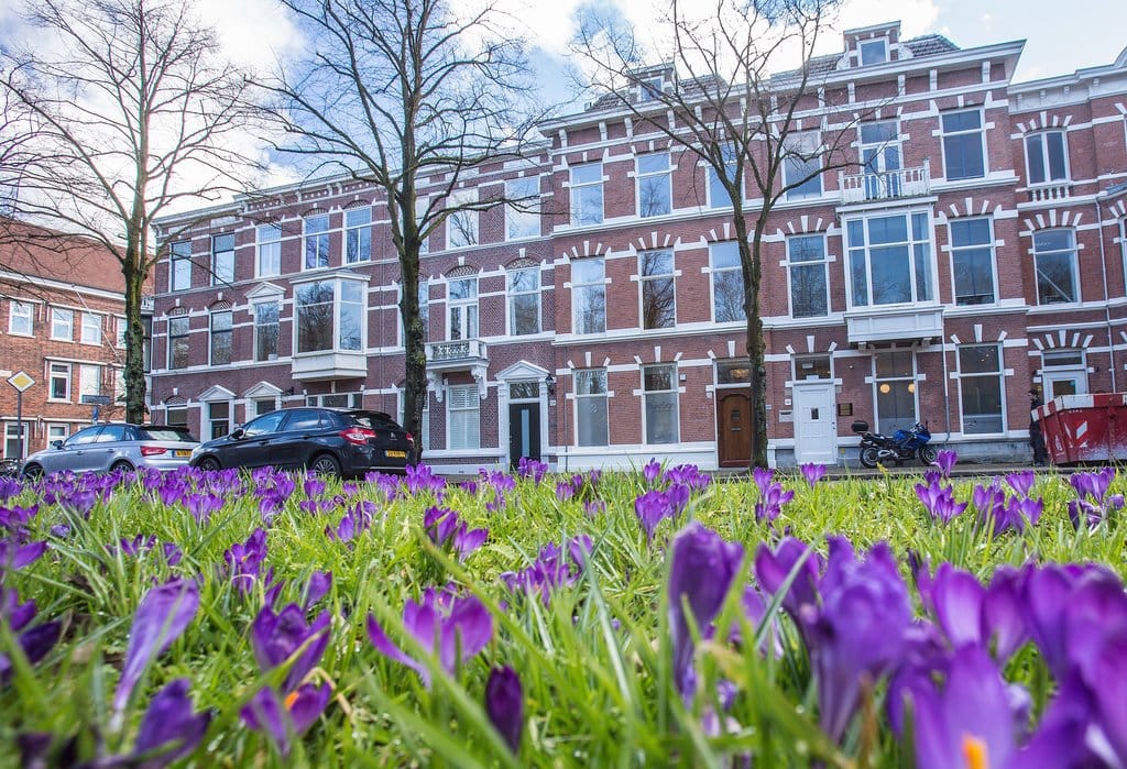 Foto 7 van Bezuidenhoutseweg 243-A