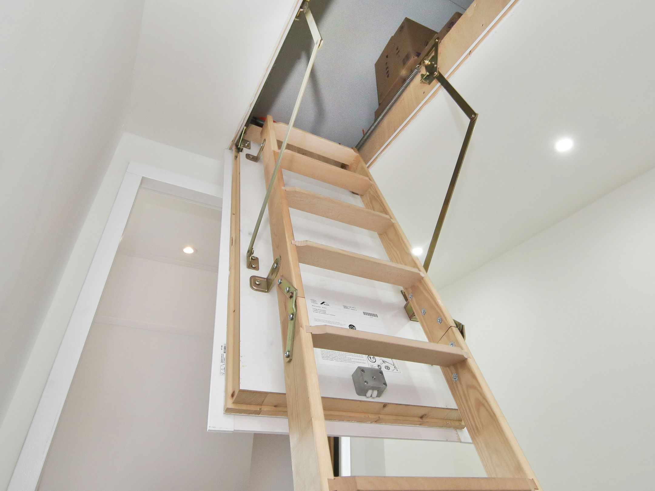 Photo 39 of Arena 19