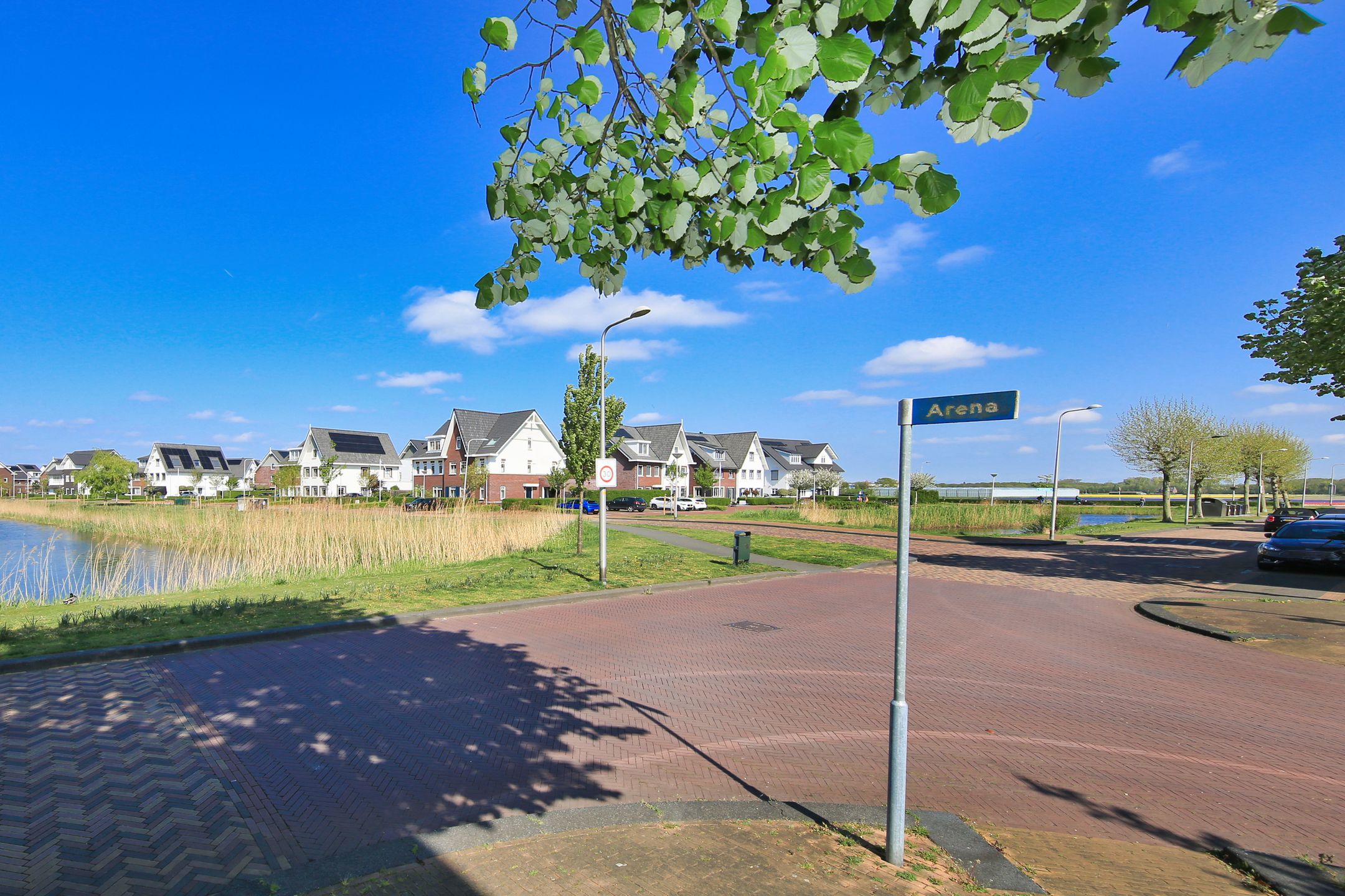 Photo 42 of Arena 19