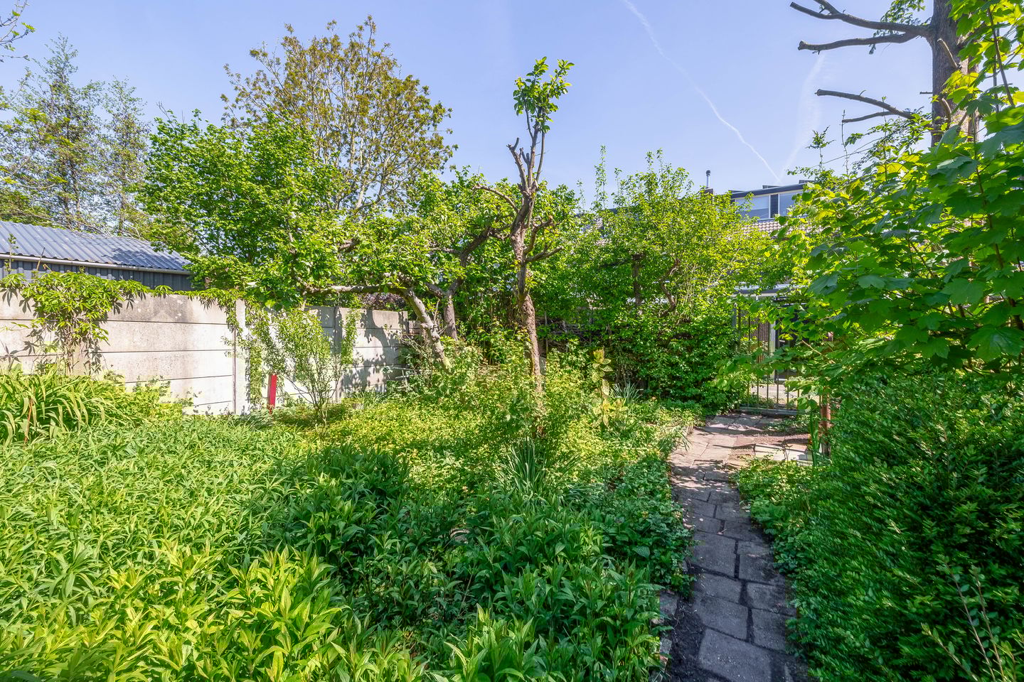 Foto 40 van Bergweg-noord 61