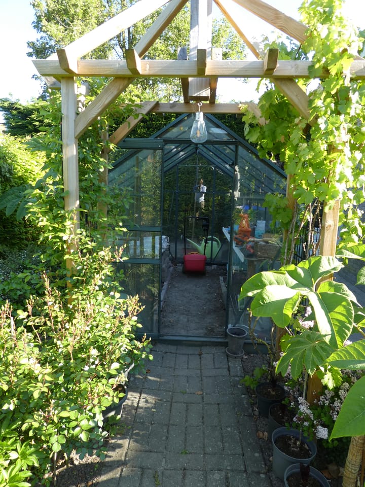 Foto 35 van Magnoliastraat 129