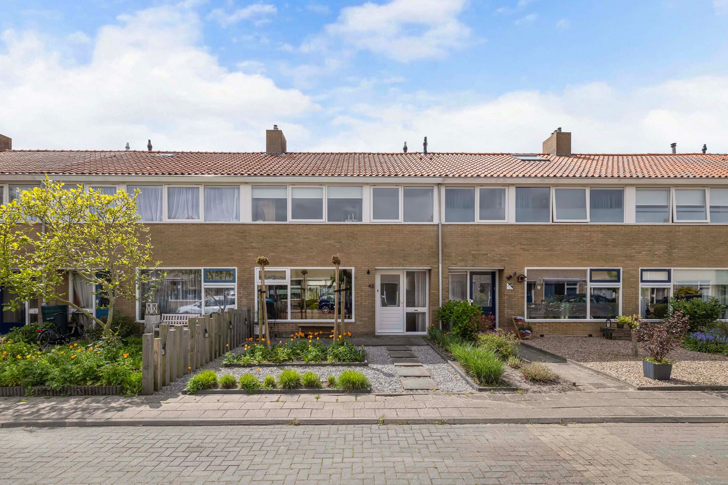 Dr Eeltje Halbertsmastraat 48 main image