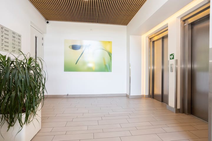 Foto 6 van Klapwijkse Zoom 199