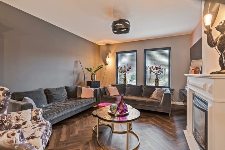 Foto 4 van Hoogmenneke 1