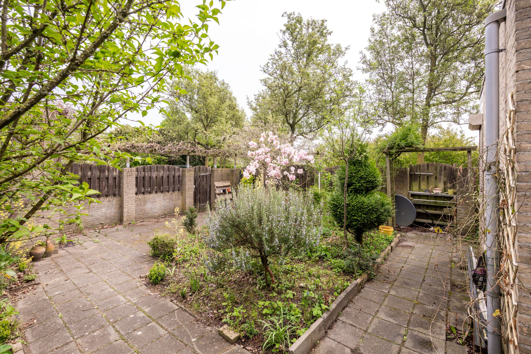 Foto 24 van Paganinistraat 24