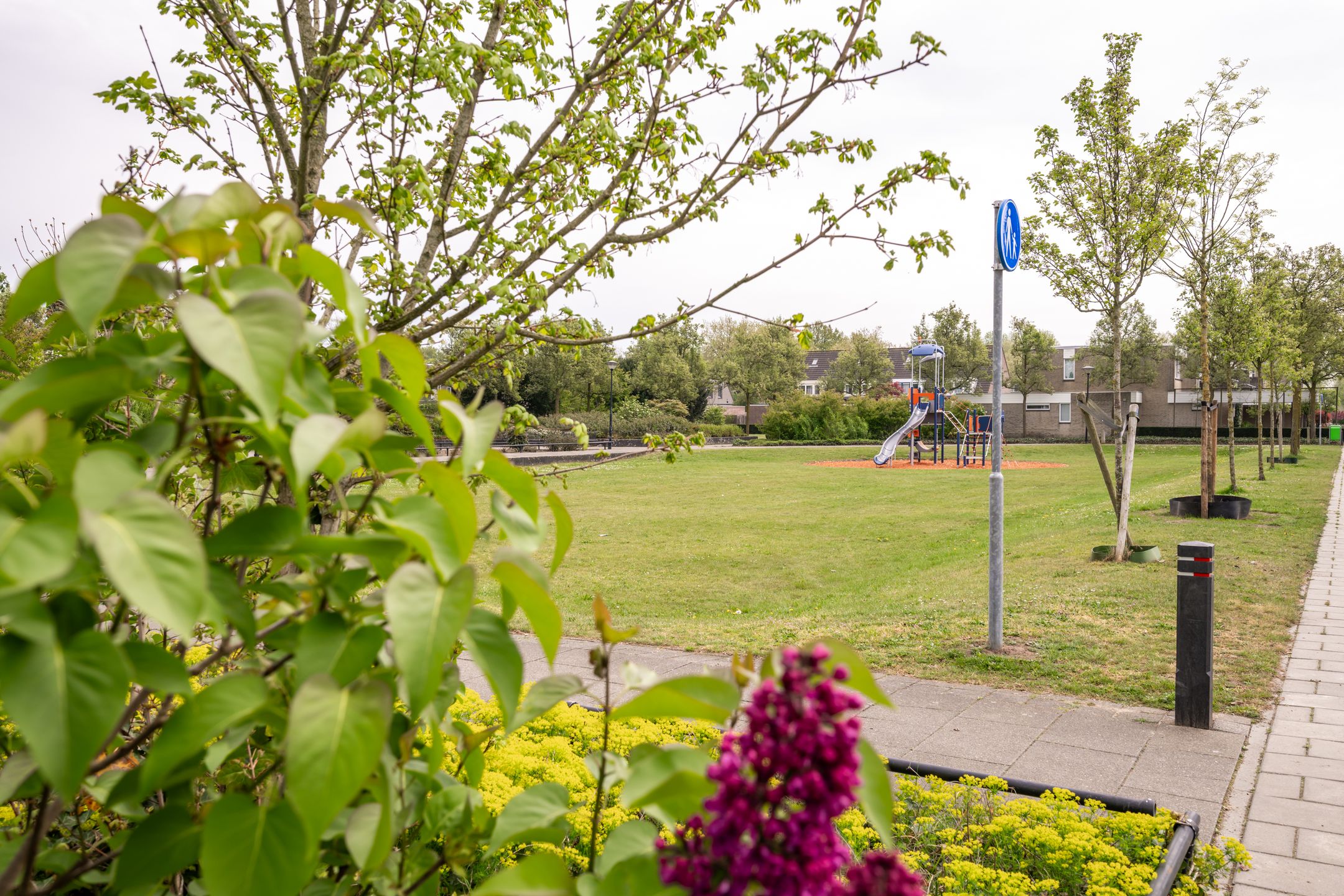 Foto 27 van Paganinistraat 24