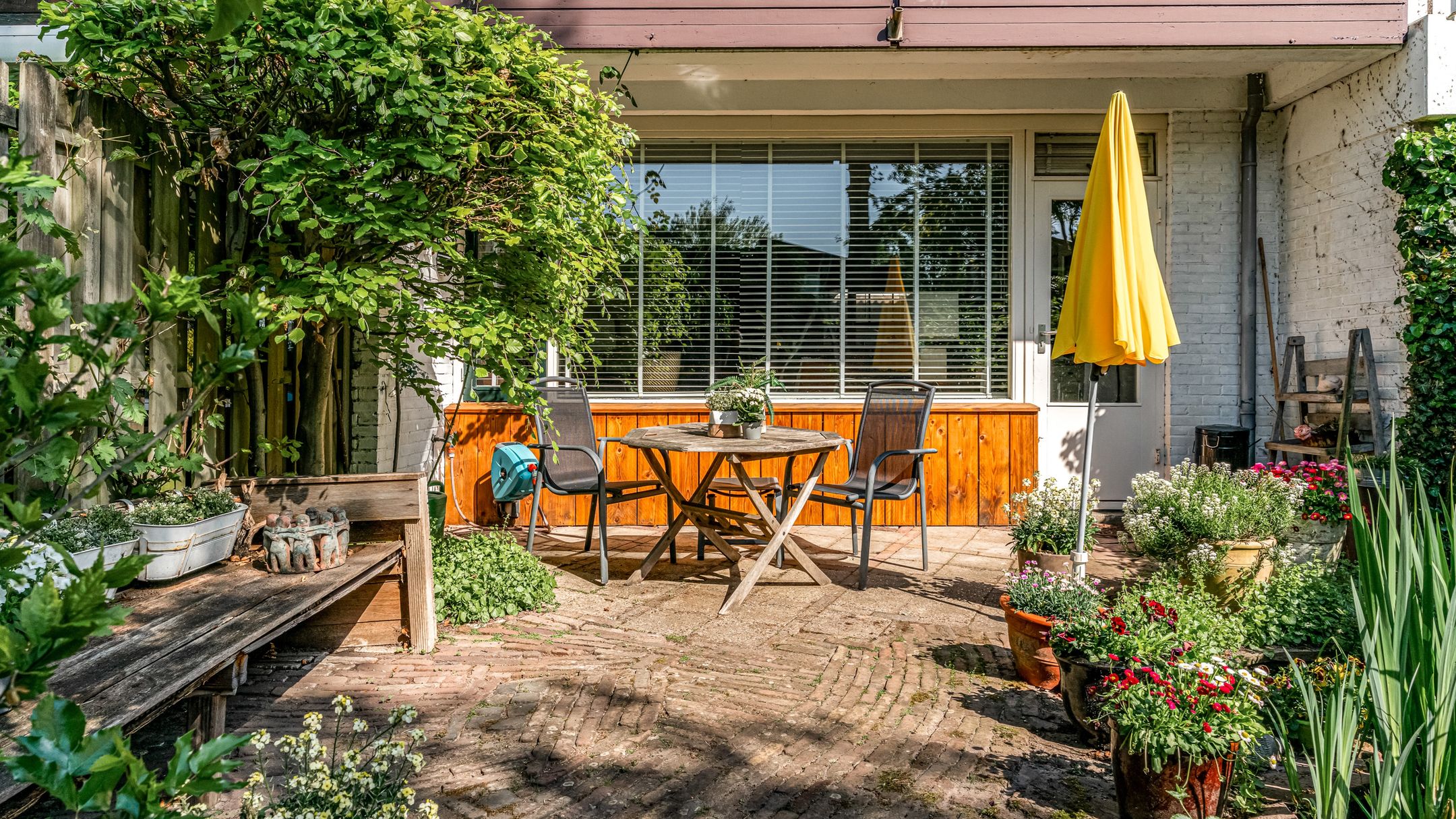 Foto 24 van Ligusterbes 14