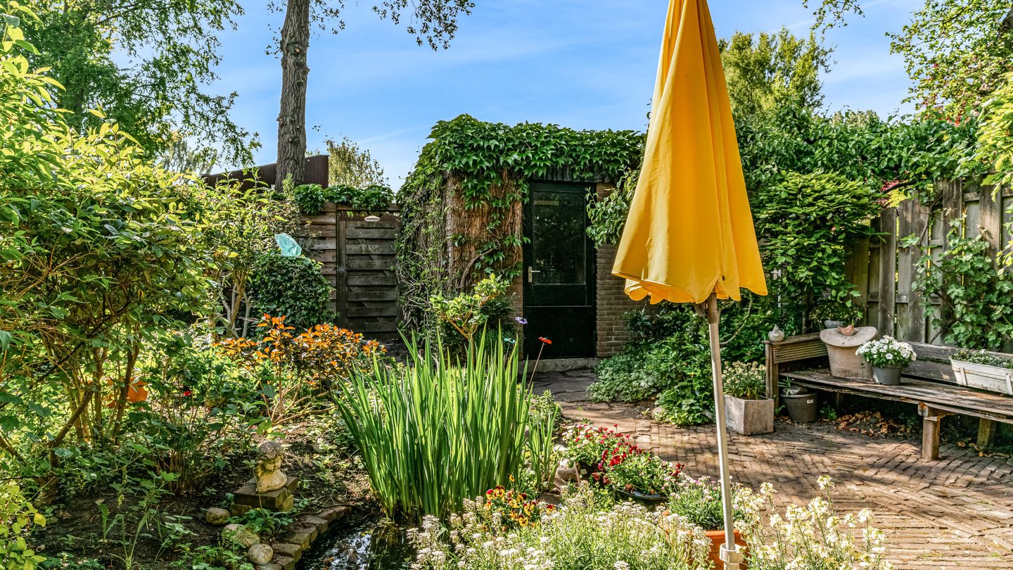 Foto 25 van Ligusterbes 14