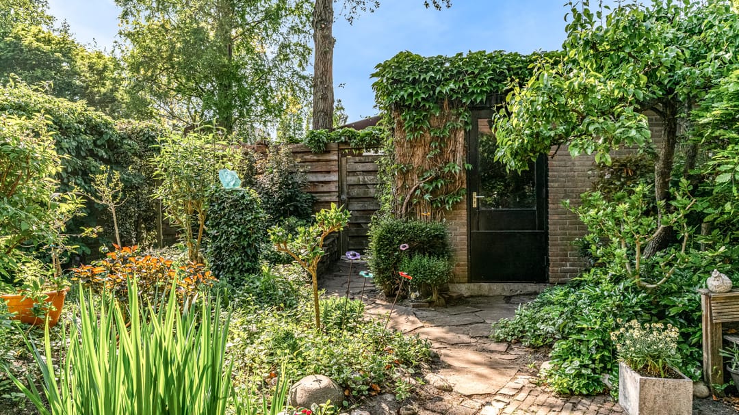 Foto 26 van Ligusterbes 14