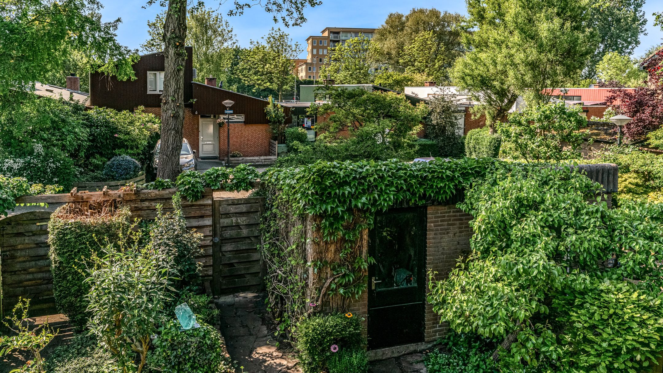 Foto 27 van Ligusterbes 14