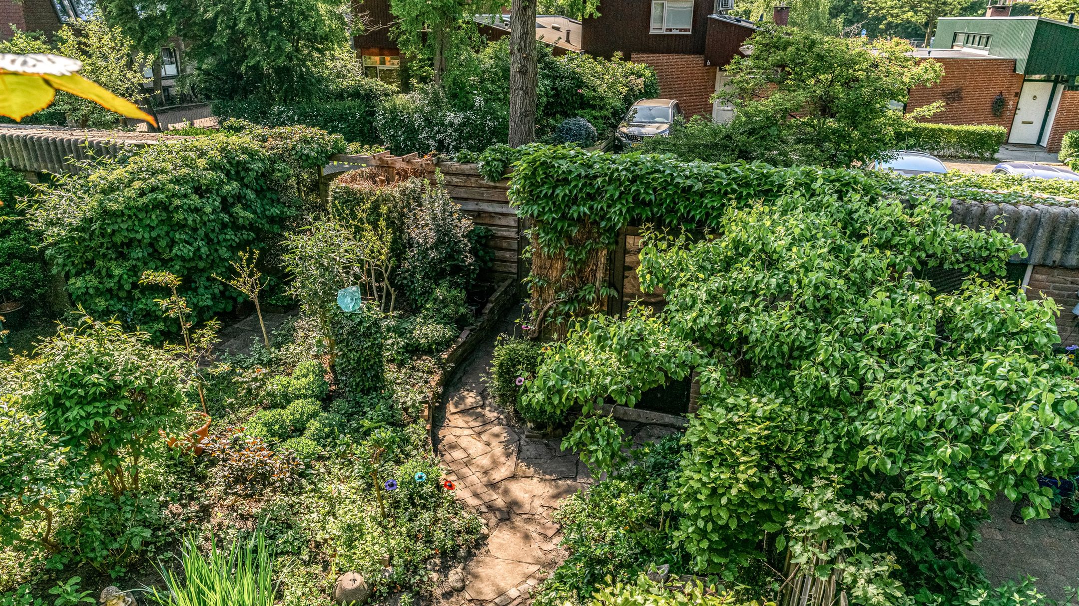 Foto 30 van Ligusterbes 14