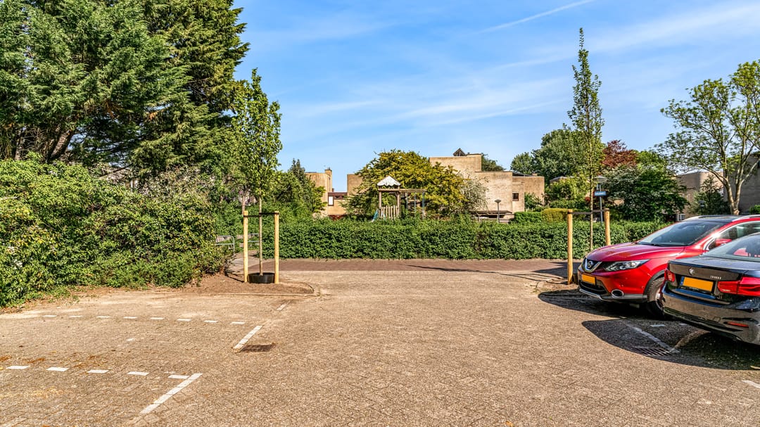 Foto 31 van Ligusterbes 14