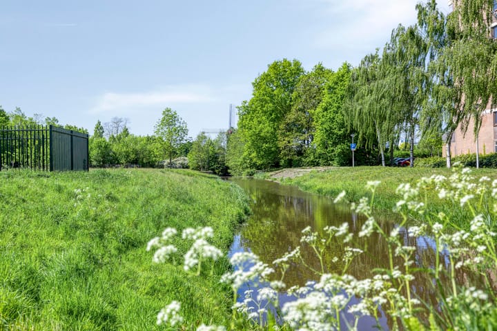 Foto 33 van Saskiadonk 2