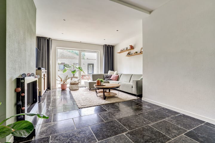 Foto 2 van Steenbergen 3