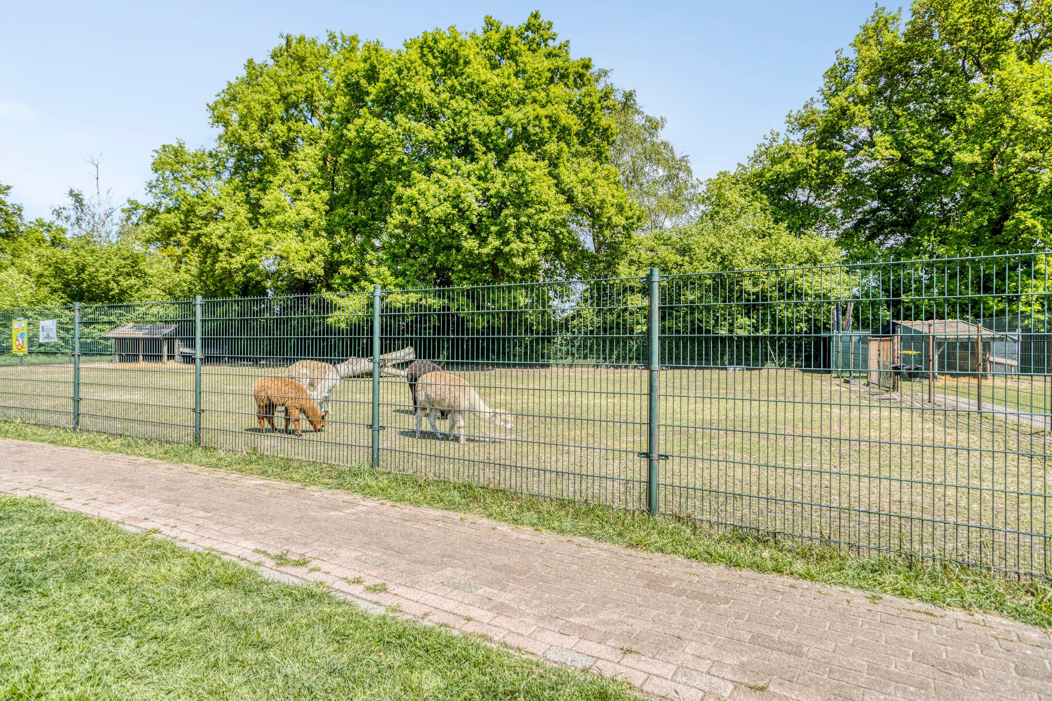 Foto 36 van van Diemenstraat 16