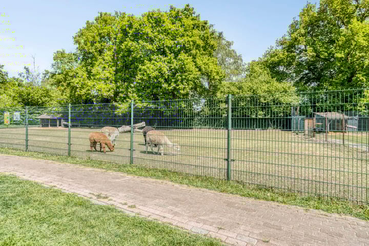 Photo 36 of van Diemenstraat 16