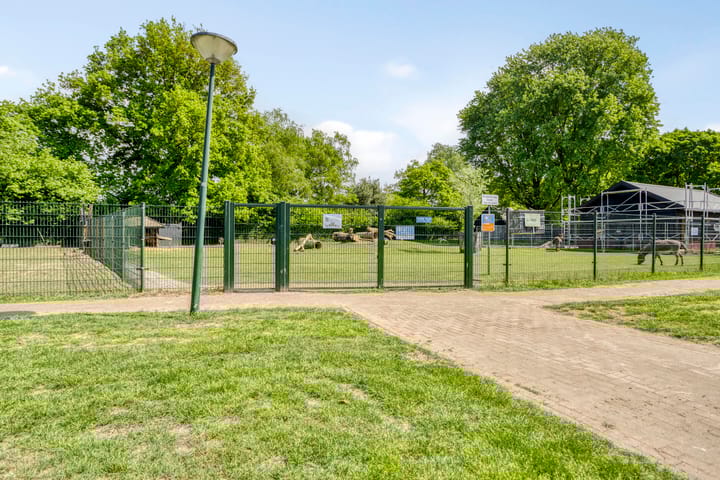 Photo 37 of van Diemenstraat 16