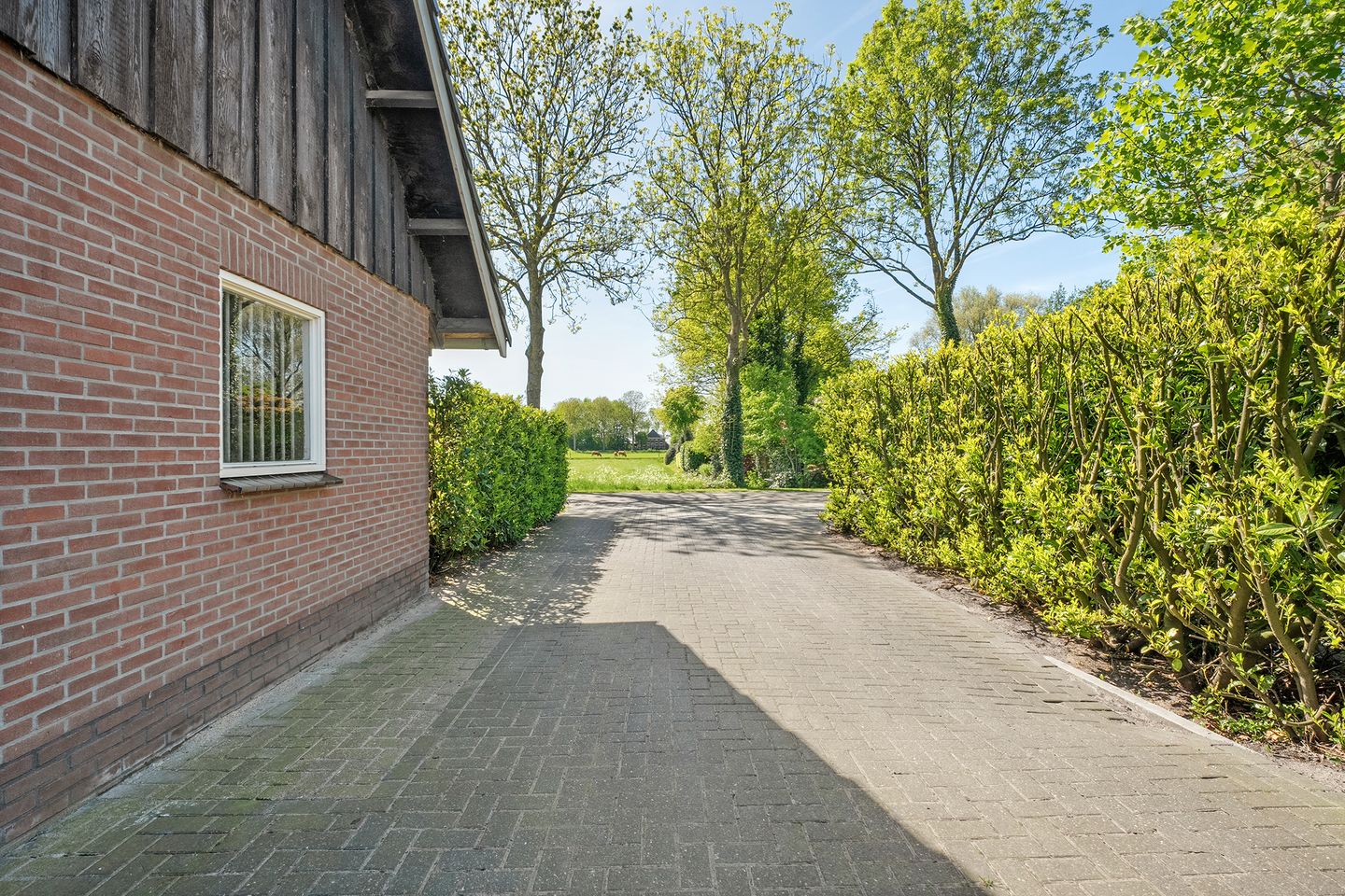 Photo 44 of Oostwijk 3