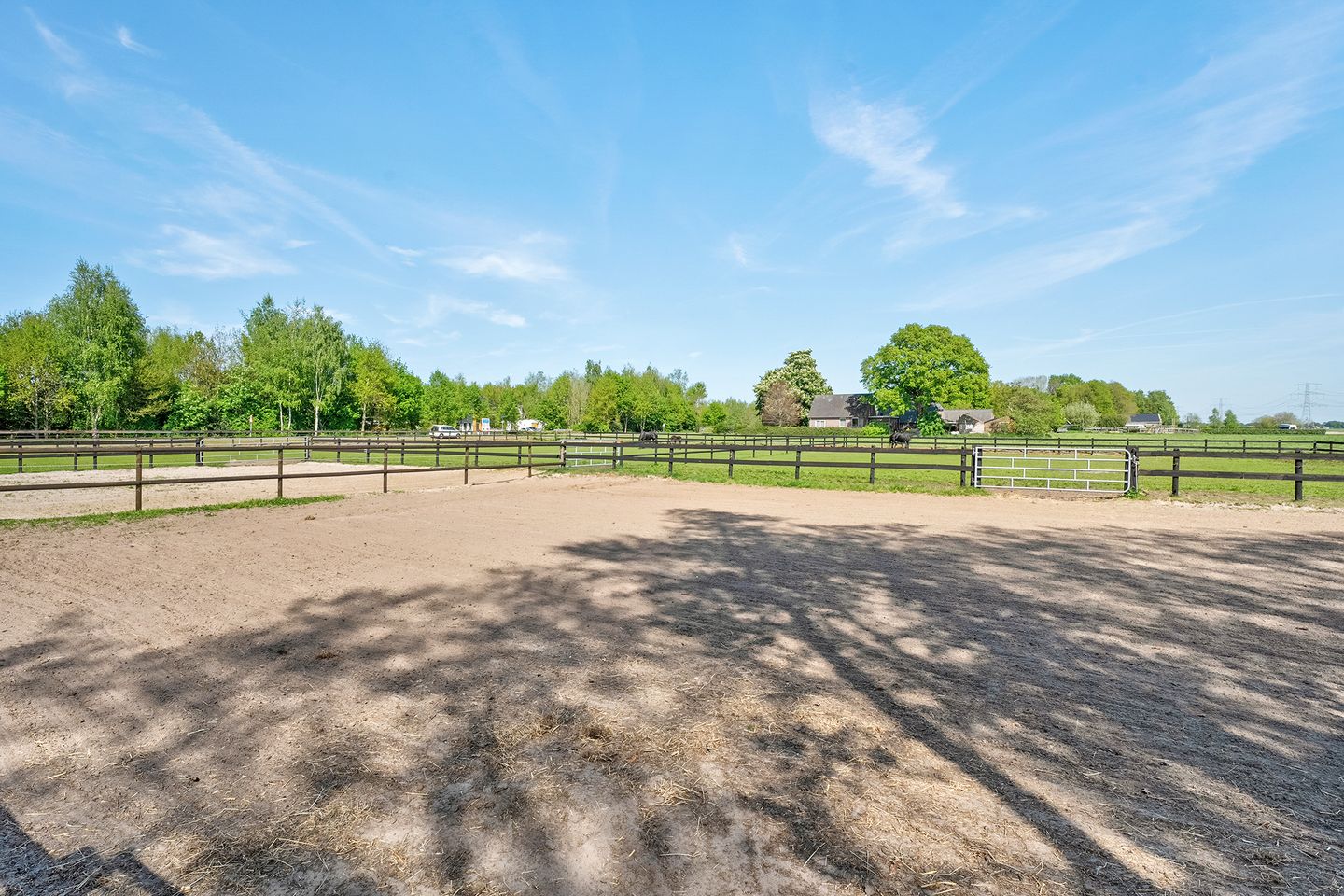 Photo 50 of Oostwijk 3