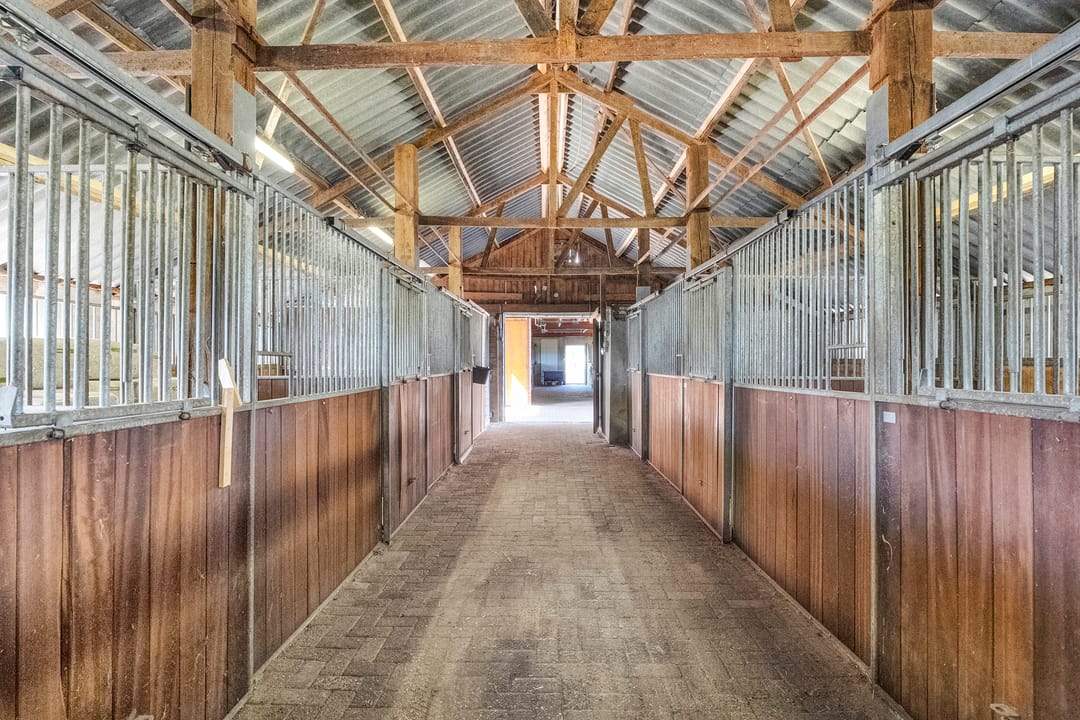 Photo 53 of Oostwijk 3