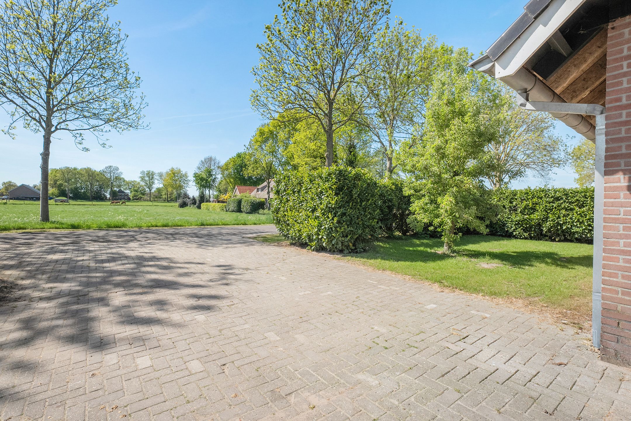 Photo 54 of Oostwijk 3