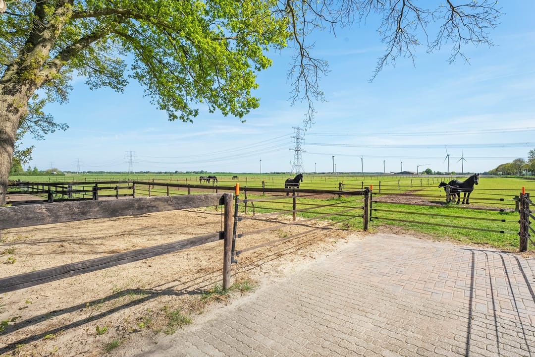 Photo 56 of Oostwijk 3