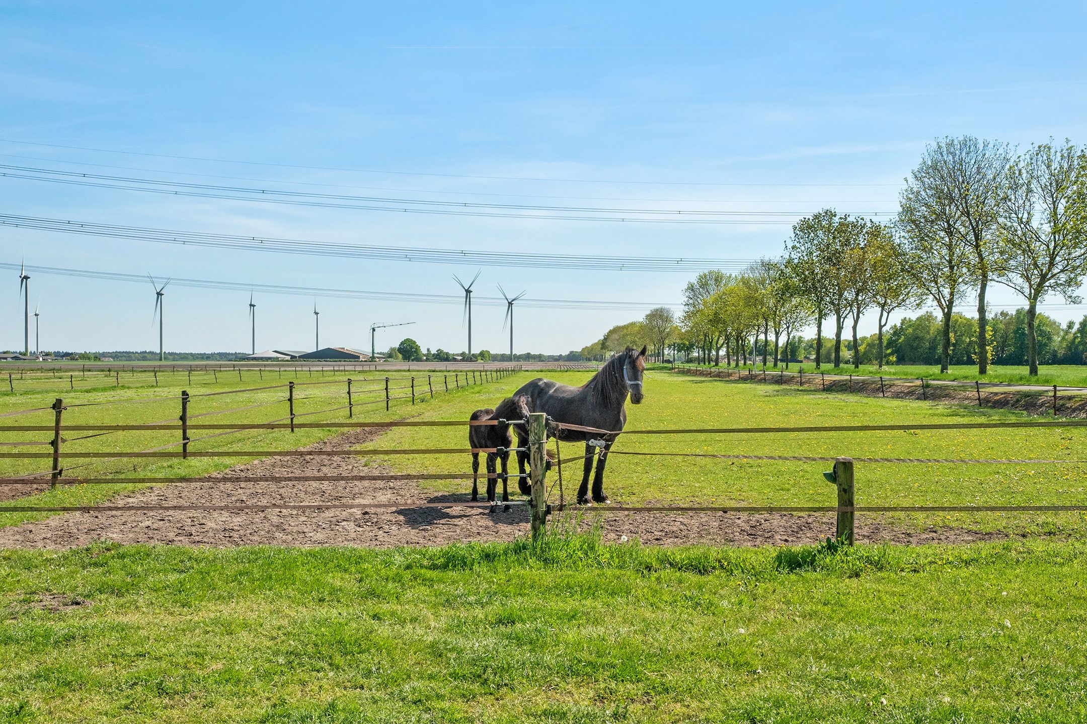 Photo 57 of Oostwijk 3