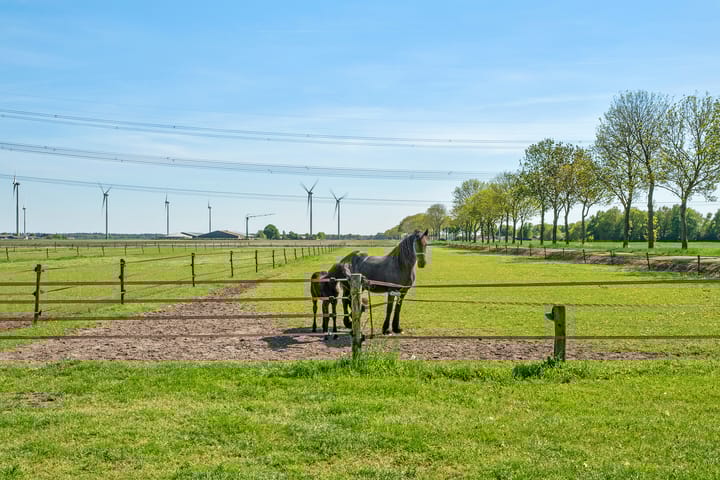 Foto 57 van Oostwijk 3