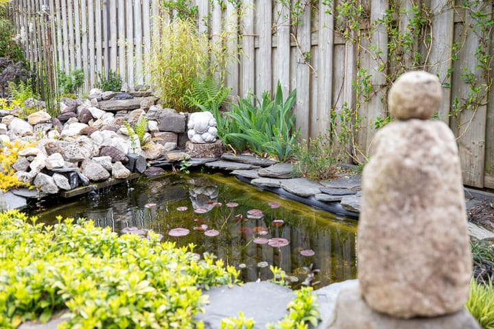 Foto 37 van Noordzijde 17