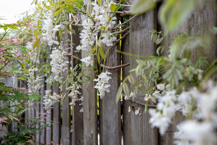 Foto 43 van Noordzijde 17