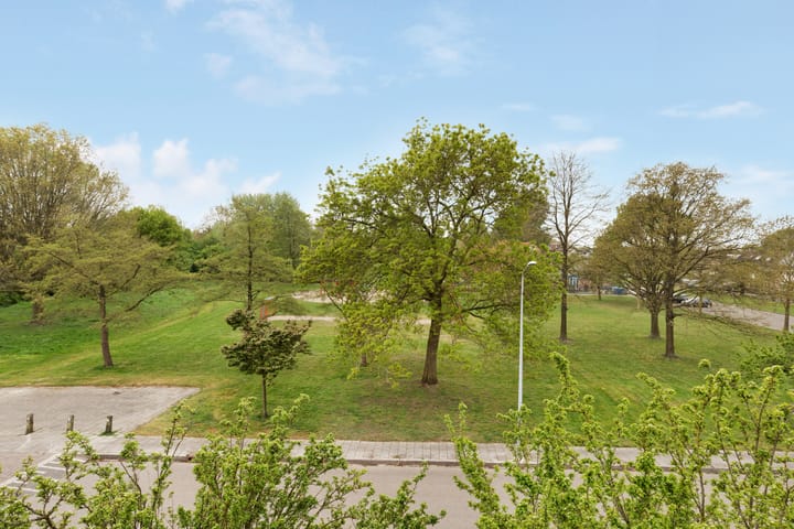 Foto 20 van Waterland 37