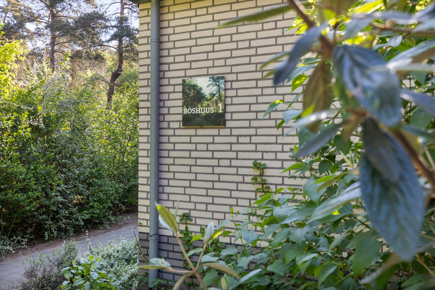 Foto 4 van Halseweg 54-46