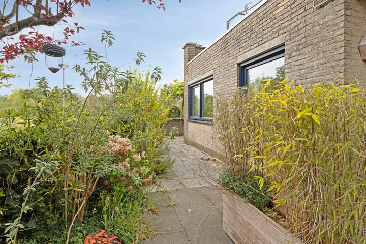 Foto 9 van Buiksloterbreek 43