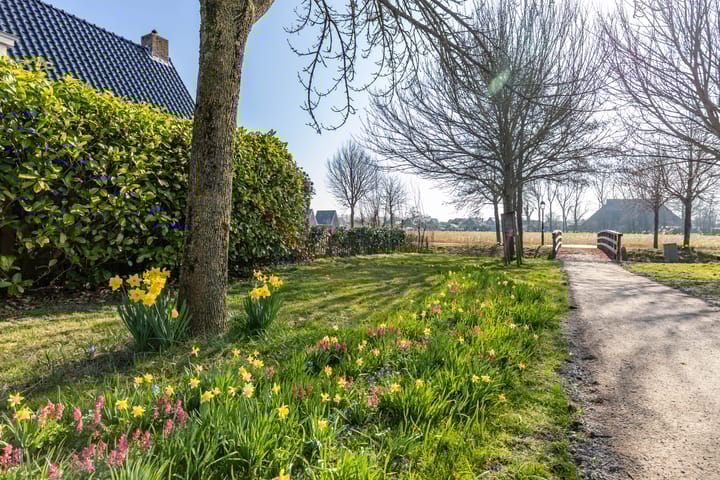 Foto 8 van Stinzelân 8