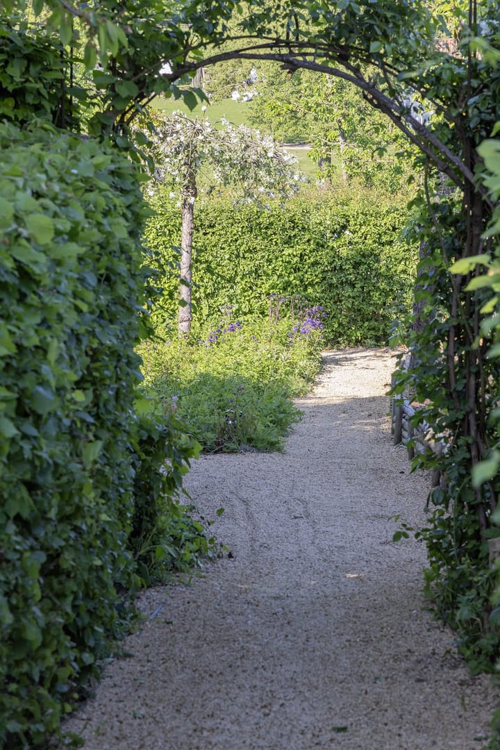 Foto 29 van Oude Akerstraat 19