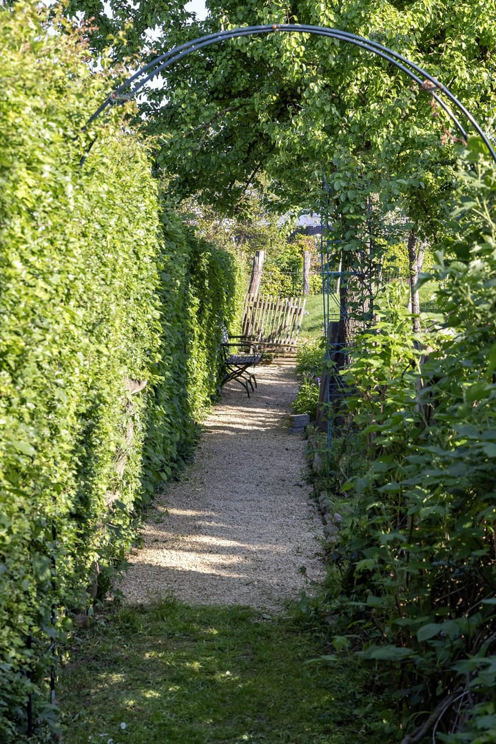 Foto 35 van Oude Akerstraat 19