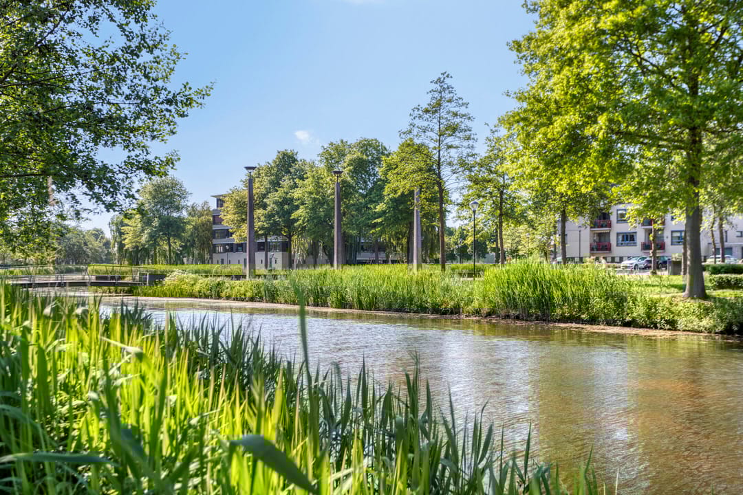 Foto 32 van Pastoor Hoekx-singel 75