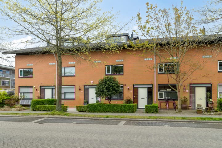 undefined main image