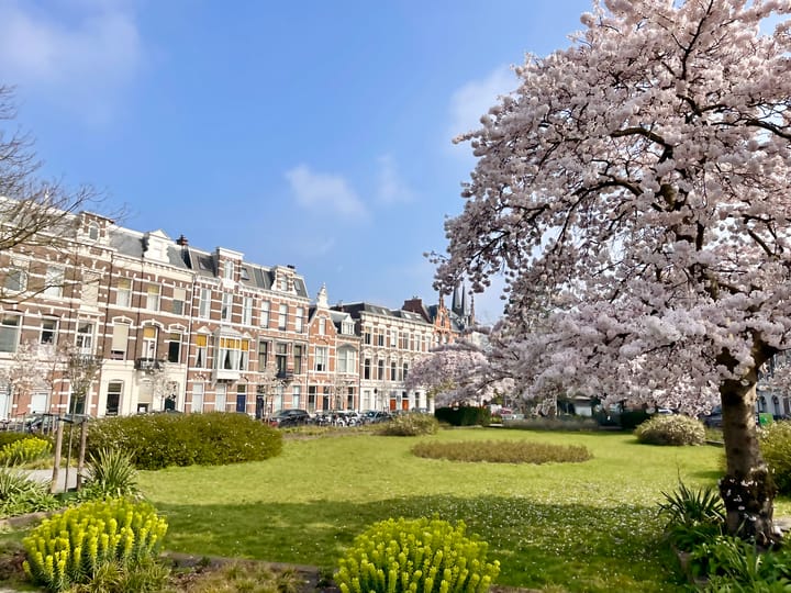 Foto 70 van Waldeck Pyrmontkade 932