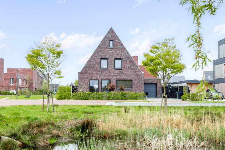 Foto 1 van Blaarkop 109