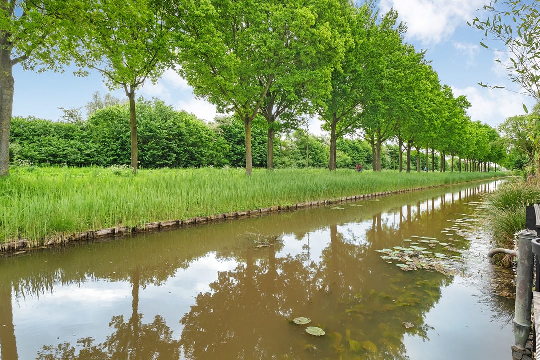 Foto 38 van Bentinckmarke 21