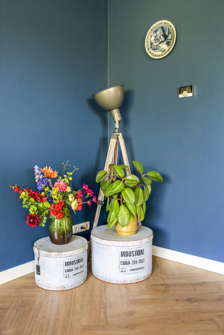 Foto 14 van Hondemotsweg 32